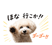 853322088
