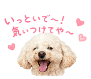853322094