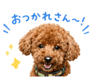 853322095
