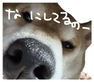 853322193