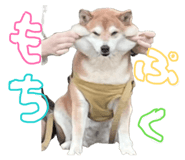 853322195