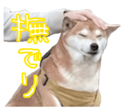 853322196
