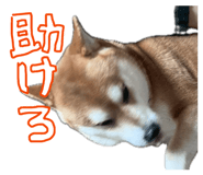 853322197