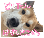 853322199