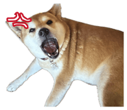 853322200