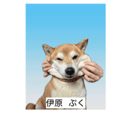 853322206
