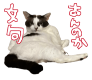 853322218
