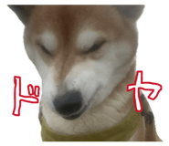853322220