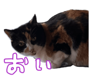 853322221