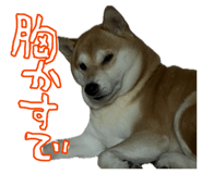 853322222