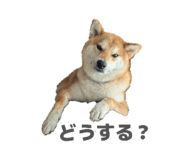 853322566
