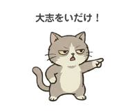 853322897