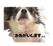 853323055