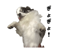 853323056