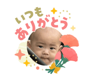 853323660