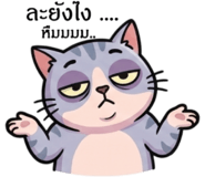 853323889