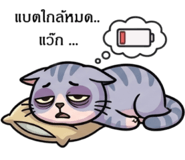 853323896