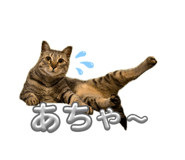 853324025