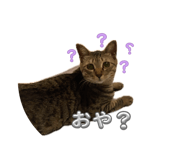 853324027