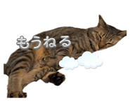 853324028