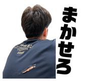 853324101