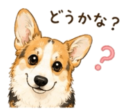 853324213