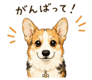 853324215