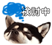 853324251