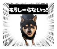 853324253