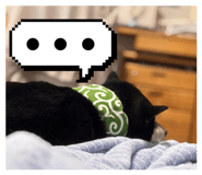 853324254