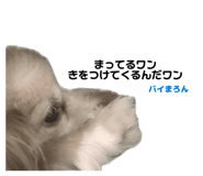 853324478