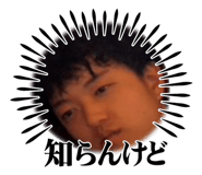 853324486