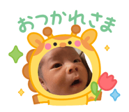 853325323