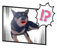 853325964