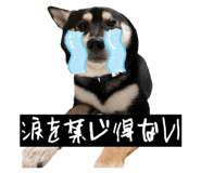 853325966