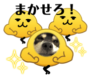 853325967