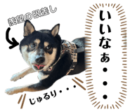 853325968