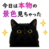 853327930