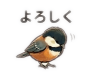 853328113