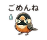 853328124