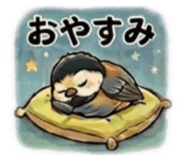 853328134
