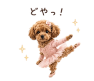 853328165