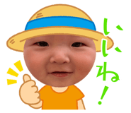 853328293