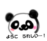 853328972