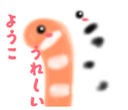 853328974