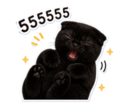 853329628
