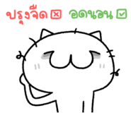 853329955