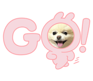 853330034