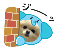 853330040