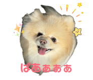 853330042
